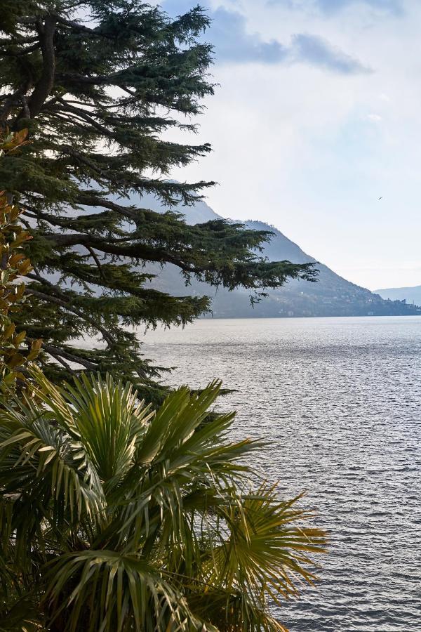 Villa Lario Lake Como Pognana Lario Eksteriør billede